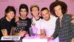 One Direction ‘Will REUNITE’ But With A Catch?!