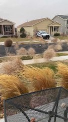 Tons of Tumbleweeds Blow Through Colorado Neighborhood