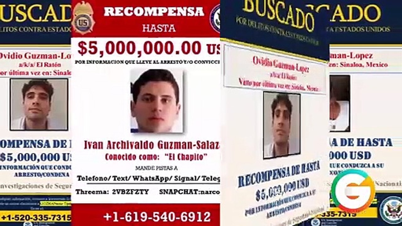 Ovidio Guzmán asesinó a un cantante que se negó a actuar en su boda _ EU