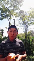 Hondureño le pide una estufa eléctrica a Xiomara Castro a través de TikTok