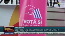 Uruguay: Pre-referendum campaign begins to repeal 135 articles of law