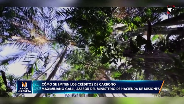 Cómo se emiten los créditos de carbono