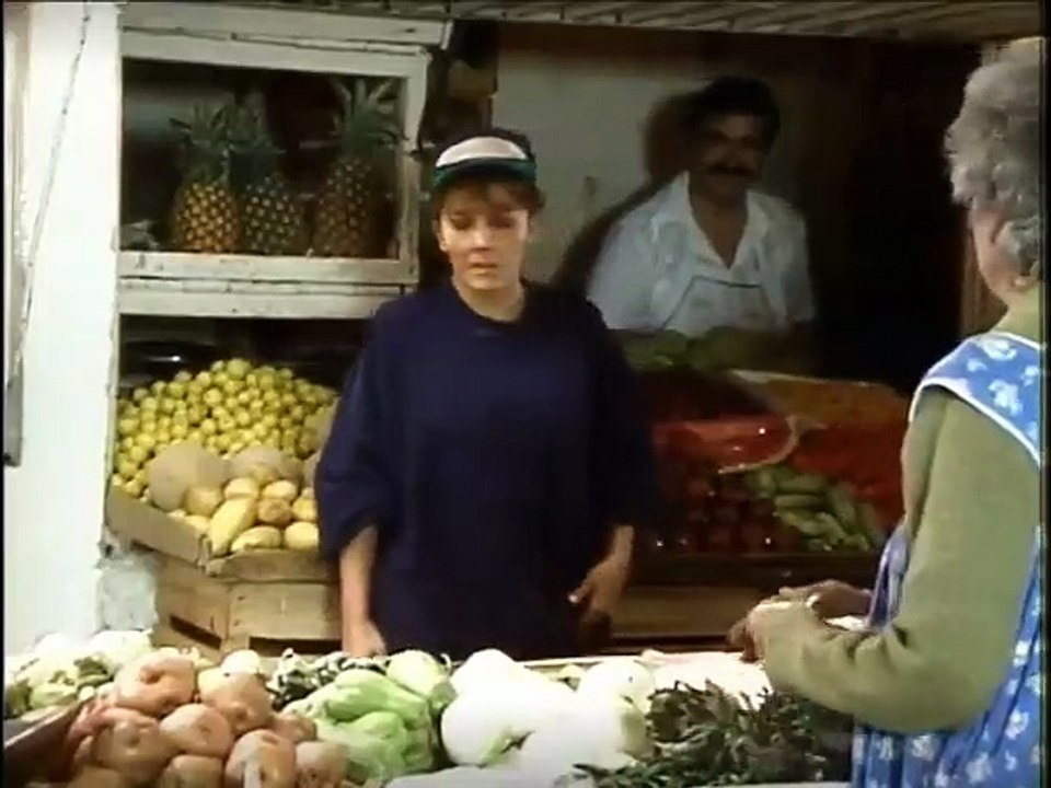 Rosa salvaje capitulo 3