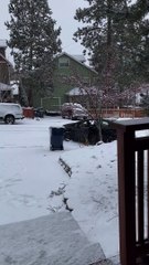 Cars Collide on Snowy Hill