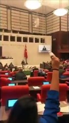 TİP'li Sera Kadıgil'den TBMM'de saygısızlık!  Fuat Oktay'ın konuşması sırasında şarkı açtı