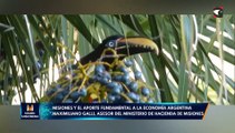 Misiones y el aporte fundamental a la economía argentina