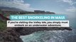 The Best Snorkeling in Maui