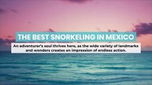 The Best Snorkeling in Mexico