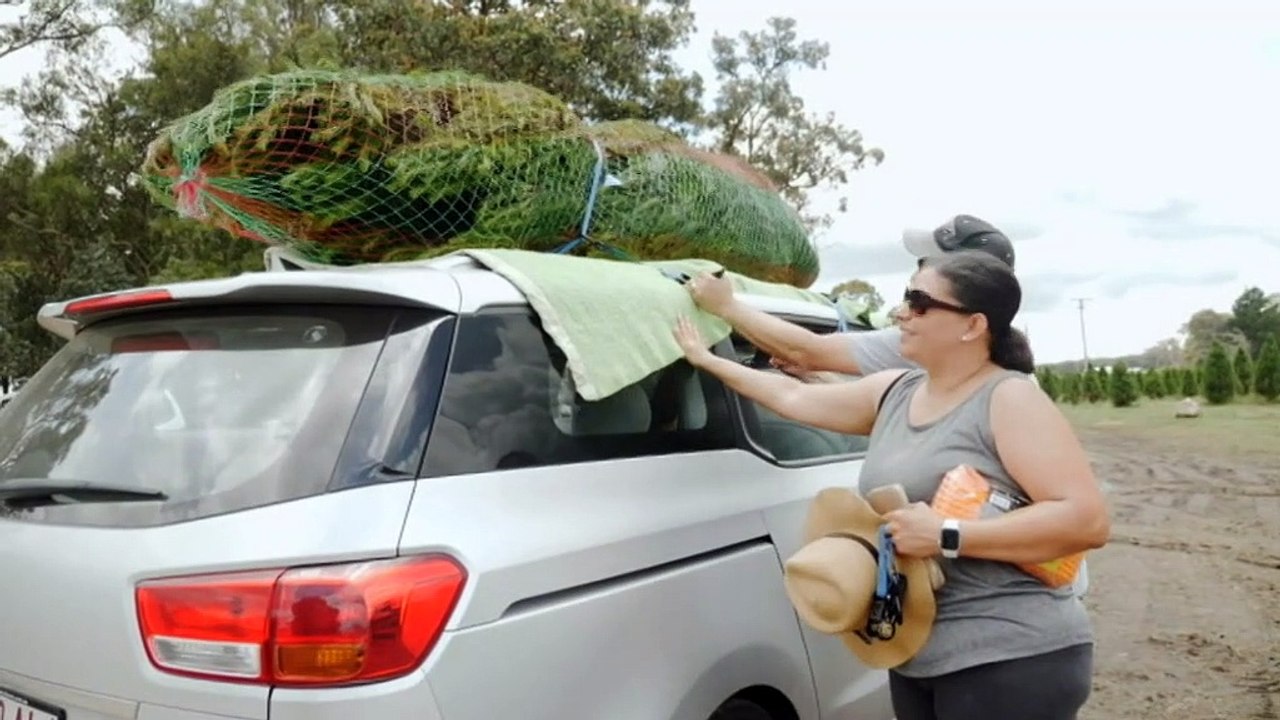 Increased demand for real Christmas trees this...