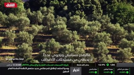 ...سلمت ايطاليا أيضا للاندفاع للأعلى بفعل ا...