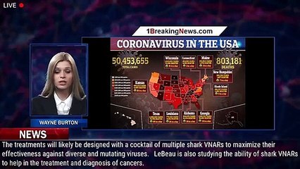 Proteins taken from SHARK immune systems can prevent COVID-19 and variants like Omicron from i - 1br