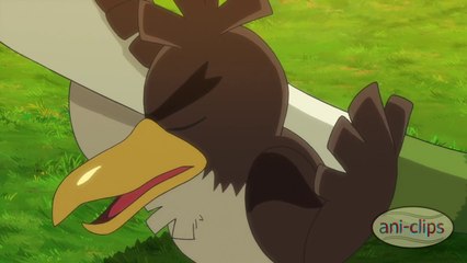Ash Catch Galarian Farfetch’d - Pokemon Journeys