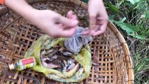 Unbelievable Fishing _ Unique Fish Trap with Primitive Technology Of Catching Lot Of Big Fish