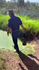 Very Creepy Crocodile