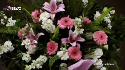 كمين ديزي - الحلقة 26