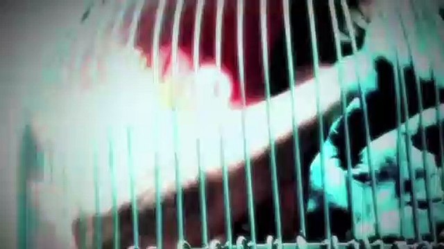 American Horror Story Saison 4 - AHS Freakshow - Carousel (EN)