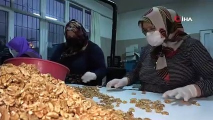 İki çuval cevizle başladı, kendi işinin patronu oldu