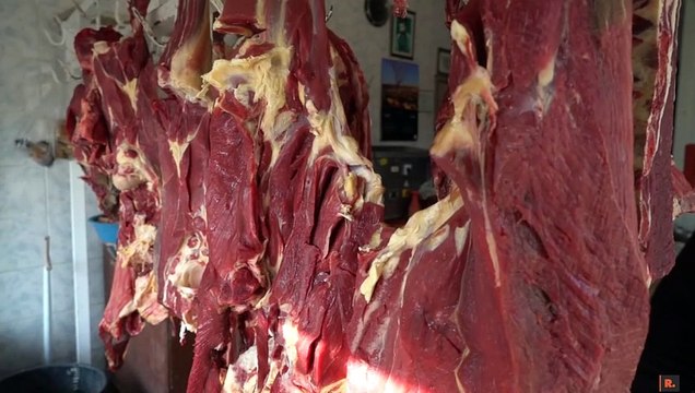 Van’da hayvancılık durma noktasında: Önümüzdeki yıl hayvan kalmayacak