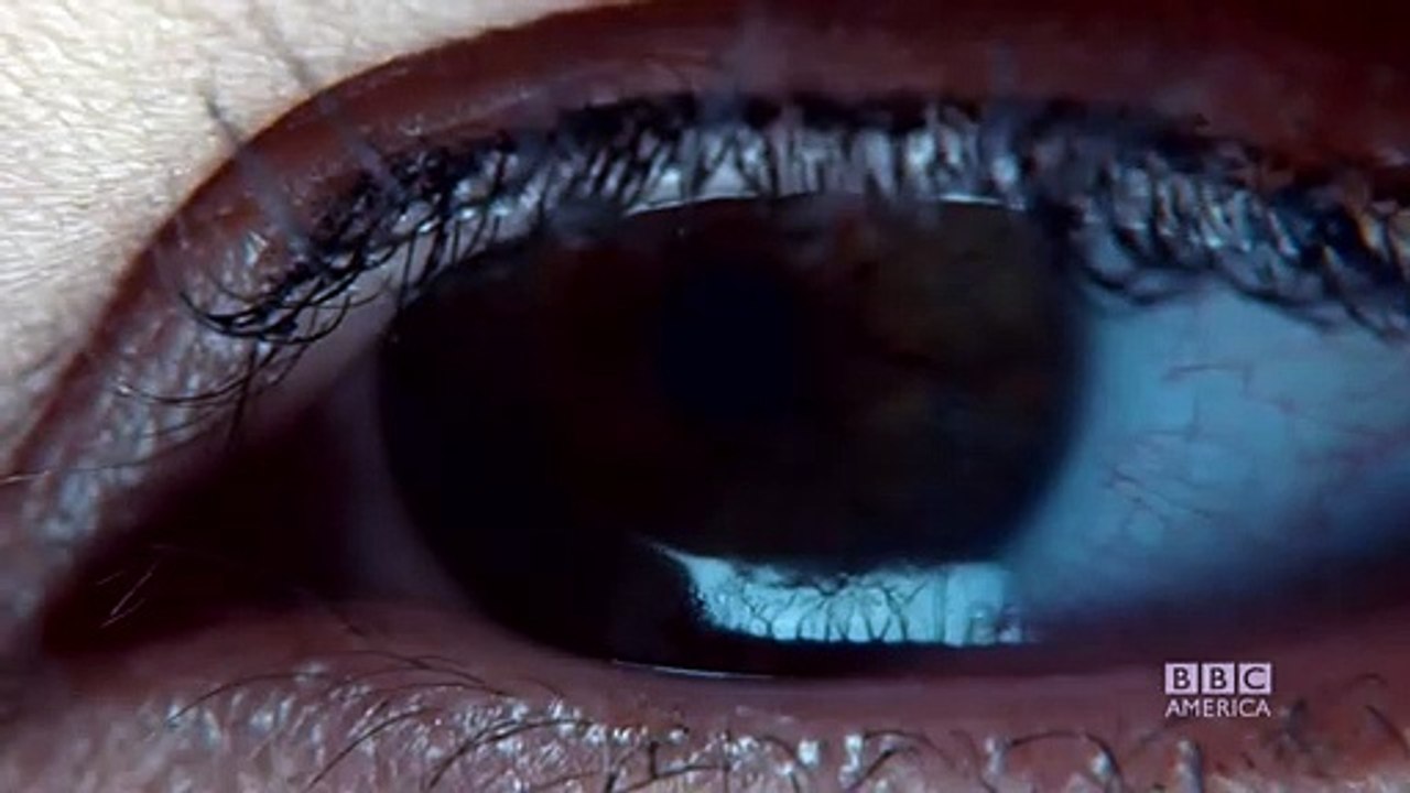 Orphan Black Saison 4 - Teaser (EN)