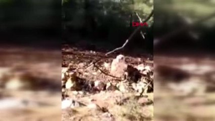 ANTALYA'DA 400 DÖNÜM KAMU ARAZİSİNİ İŞGAL EDEN 12 ŞÜPHELİ YAKALANDI