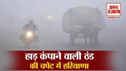 Severe Cold And Fog Started Falling In Haryana|हाड़ कंपाने वाली ठंड की चपेट में हरियाणा