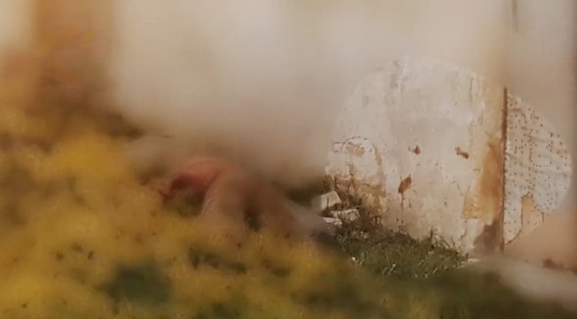 Trapani, ucciso in campagna nel 1998: arrestato il cognato (18.12.21)