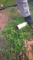 Bombeiros usam pressão de água para retirar filhotinho de cachorro de tubulação