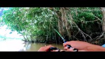 Indonesian Fishing - Mancing ikan gurame di sungai