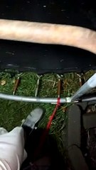 Tied Down Trampoline Survives Tornado