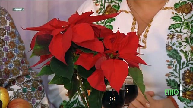 Elena Milea Lukas - Hai, mai, vinisorule (Vatra cantecelor noastre - ETNO TV - 12.12.2021)