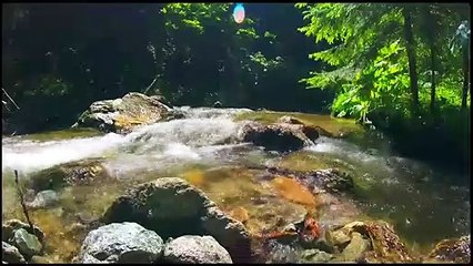 Relaxing Music And Rain Sounds   Nature Videos 2021