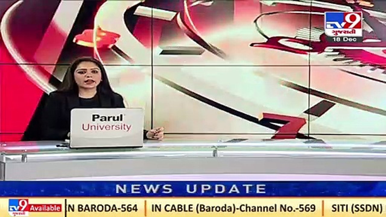 'Gang-war' between monkeys, stray dogs in Maharashtra's Beed after dogs kill one of their infants