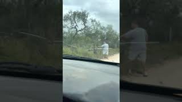 Mail Carrier Rescues Spike Deer Caught in Fence