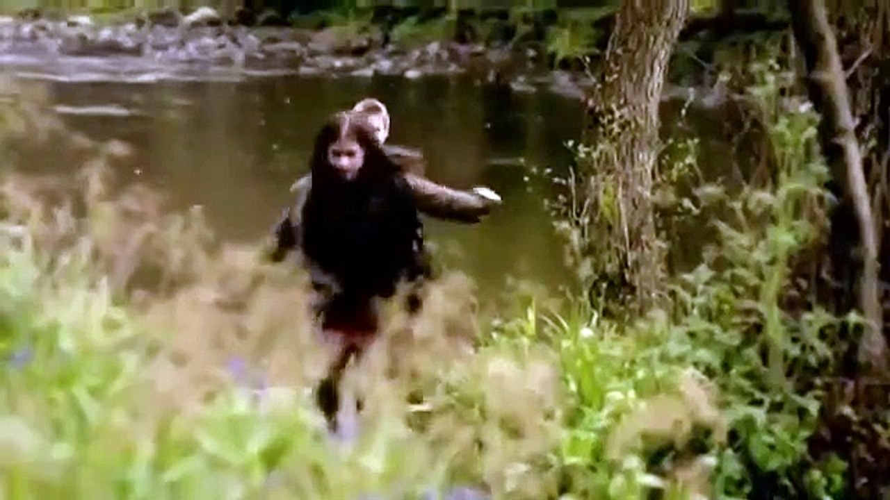 Wolfblood S01E11 VF