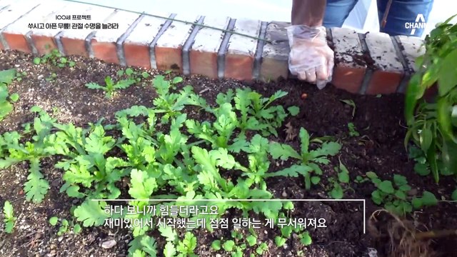 퇴행성 관절염 환자는 위장 장애와 대사 증후군의 위험이 높다?!