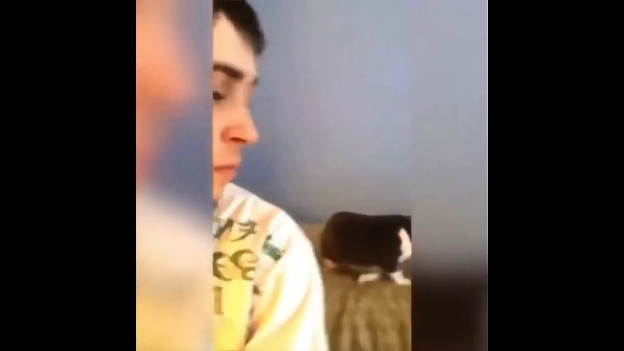 Funniest animals  Cute cats  and dogs funny videos compilation  Animal Gags_1080p