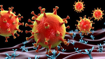 Does not make seriously ill, then why is Omicron dangerous?