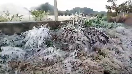 -5.2 डिग्री में जमा जर्रा जर्रा, हड्डियों तक में छूटी कंपकपी