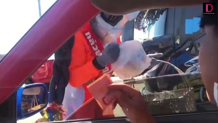 หนุ่มแว้นชน “พรีเดเตอร์” ขายกล้วยทอดโมเลนคนดัง ร่างกระเด็น | ชนคลิปข่าว 19/12/64 เดลินิวส์