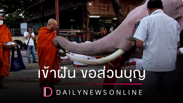 วังช้างอยุธยาทำบุญใหญ่25ปี เหตุทัพ“ผีหัวขาด” เข้าฝันเจ้าของขอส่วนบุญ | ชนคลิปข่าว 19/12/64 เดลินิวส์