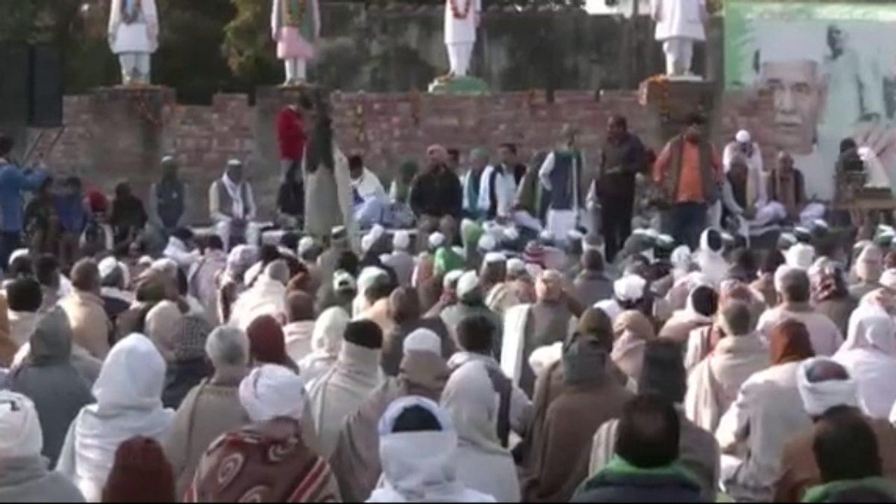 Villagers asking what did they get from Farmers...