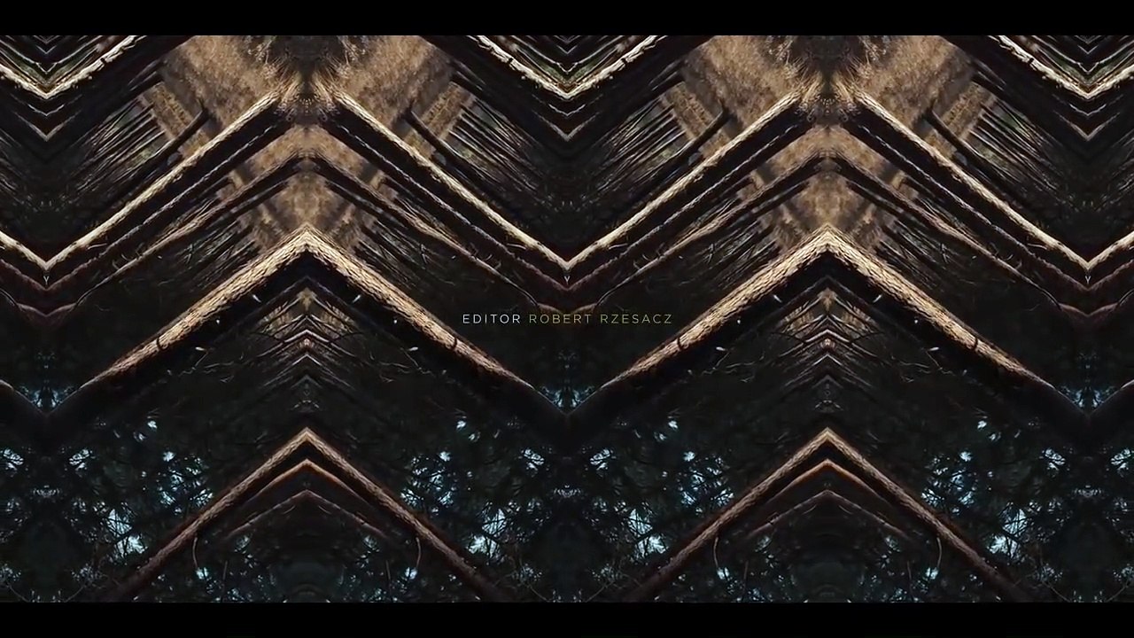 Dark Saison 2 - Dark générique (EN)