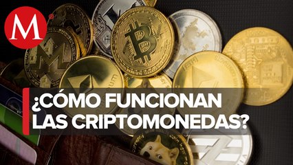 Скачать видео: Riesgos y costos de criptomonedas superan beneficios, advierte FMI