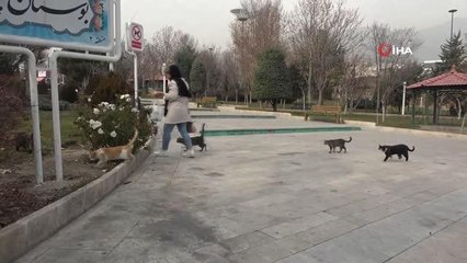 İranlı hayvanseverleri kızdıran tasarıEvlerde hayvan beslemek yasaklanacak