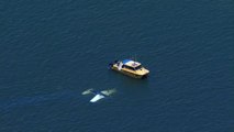 Mueren cuatro personas incluidos dos niños al estrellarse una avioneta en la costa este de Australia