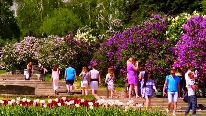 Sembrando Esperanza - Hablando de la navidad - Emanuel Buch - 19.21.2021