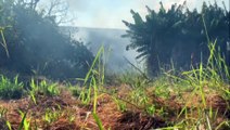 Incêndio em vegetação chama atenção de motoristas que transitam pela BR-277