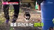 엄마의 유일한 말벗↗ 졸졸 따라다니는 고양이 나비 TV CHOSUN 20211219 방송