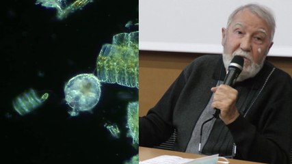 2021 Et si le patron, c'était le plancton ? Conférence de Pierre Mollo * Collectif Pêche et Développement & Trigone Production