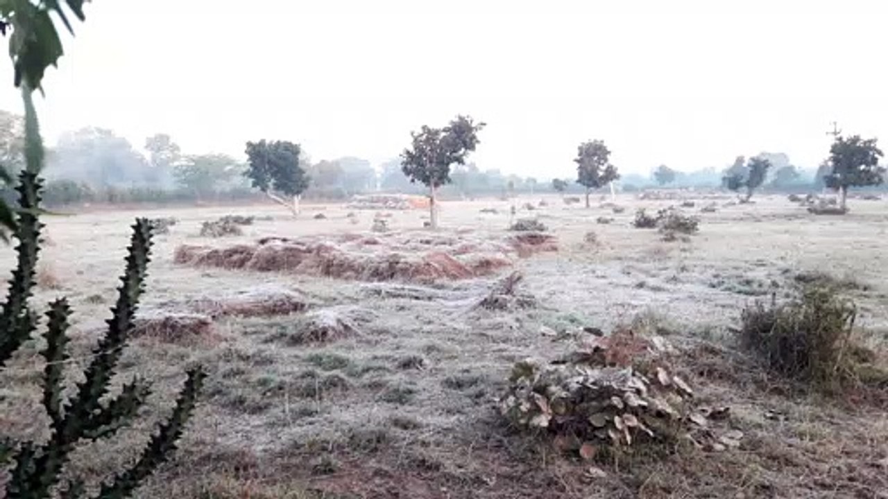 छह शहरों का पारा माइनस में, बर्फ जमी, फतेहपुर म...
